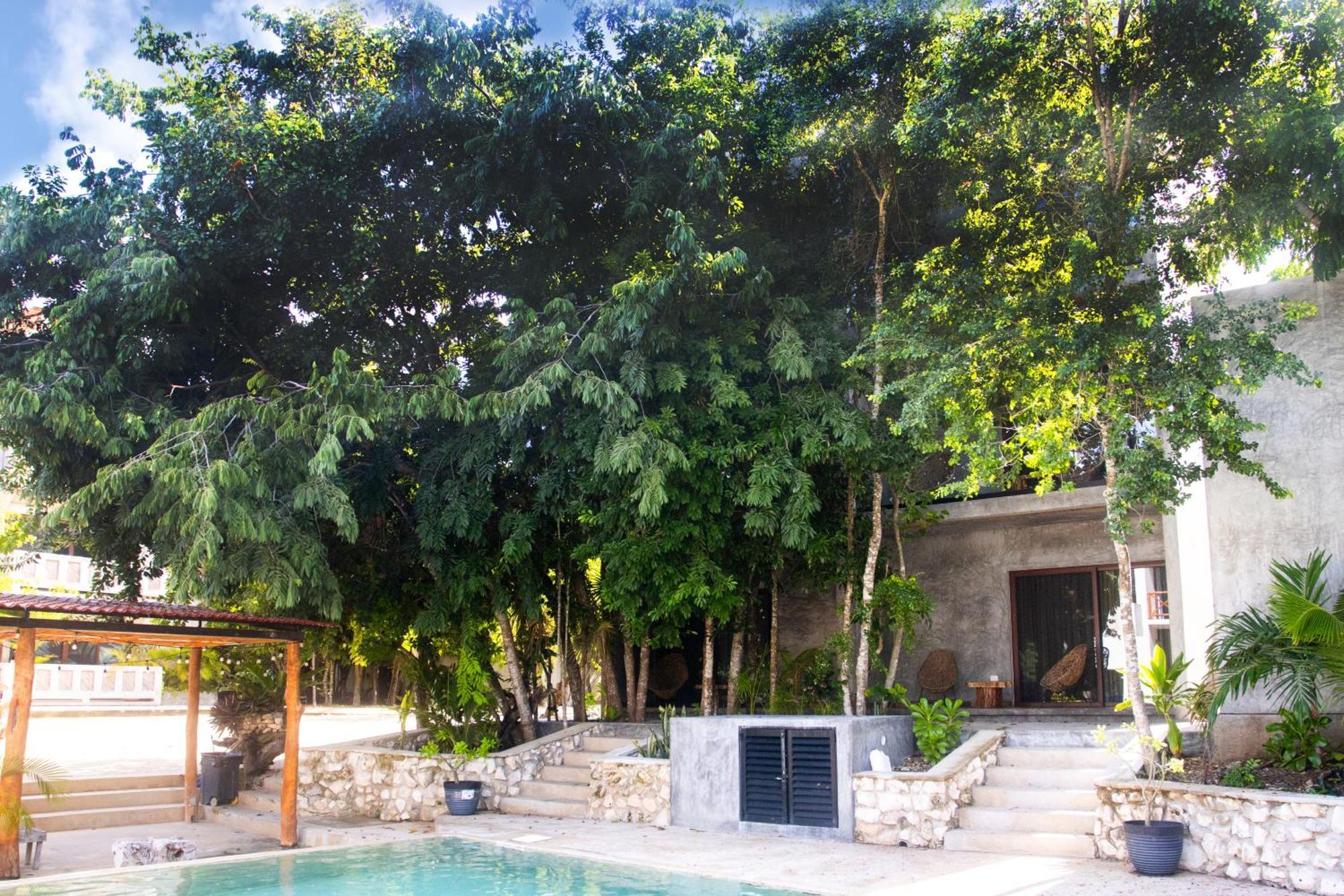 Hotel Casa Tortuga Tulum - Cenotes Park Inclusive Kültér fotó Casa Periódica, Mérida, Yucatán, Mexico