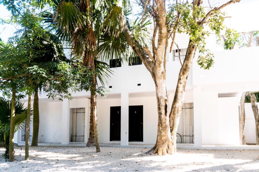 Hotel Casa Tortuga Tulum - Cenotes Park Inclusive Kültér fotó The house of the writer, in Mérida, Yucatán.